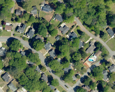 A different South Carolina neighborhood with mature-looking tree crowns beside visible roofs.
